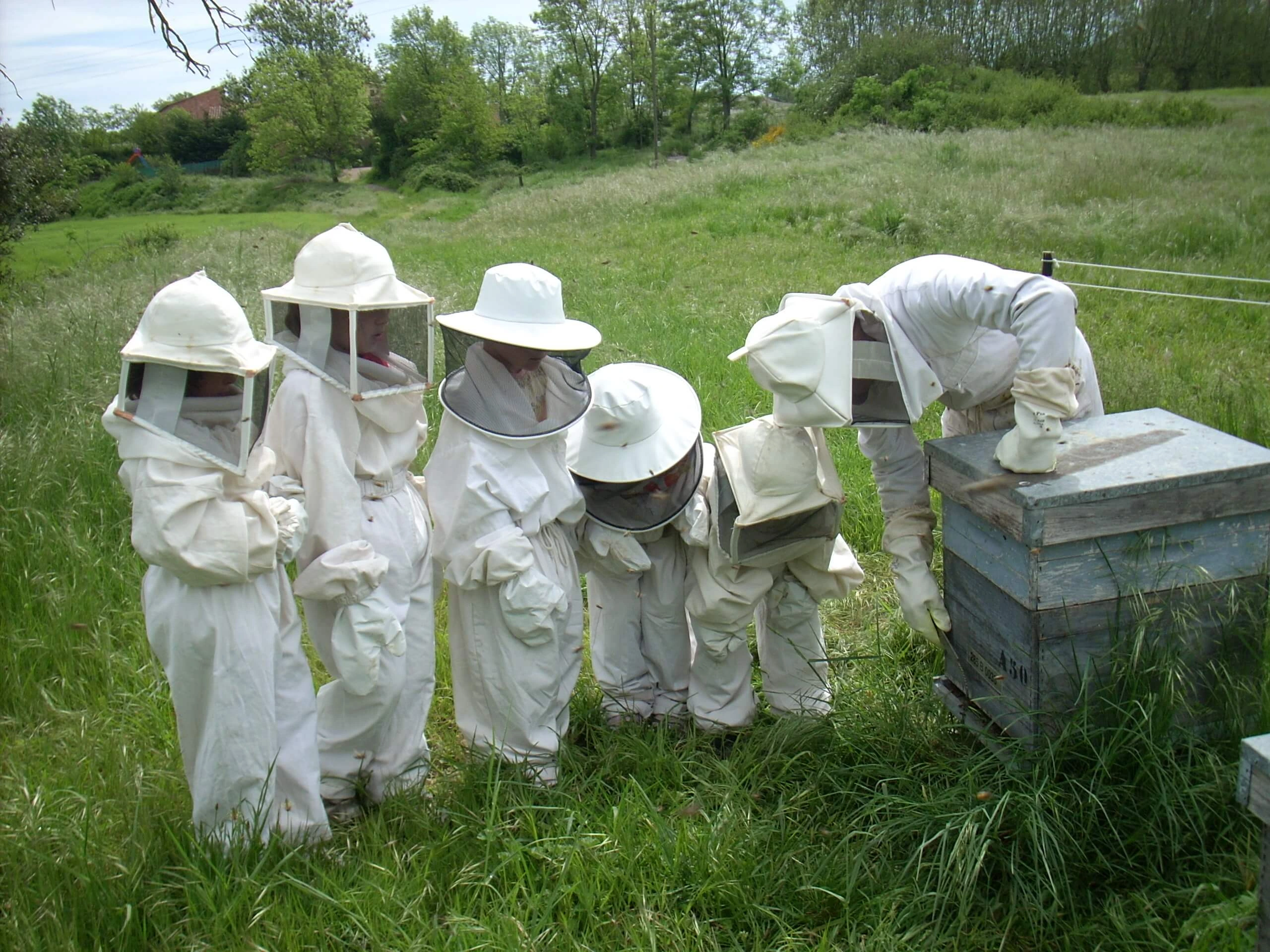 Alumnes vestits d'apicultors