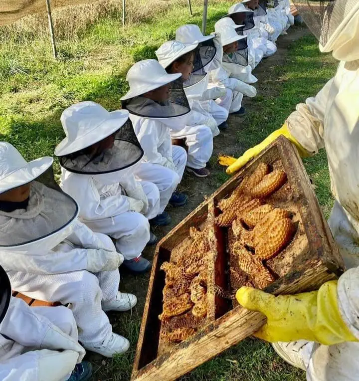 Bresca davant d'alumnes