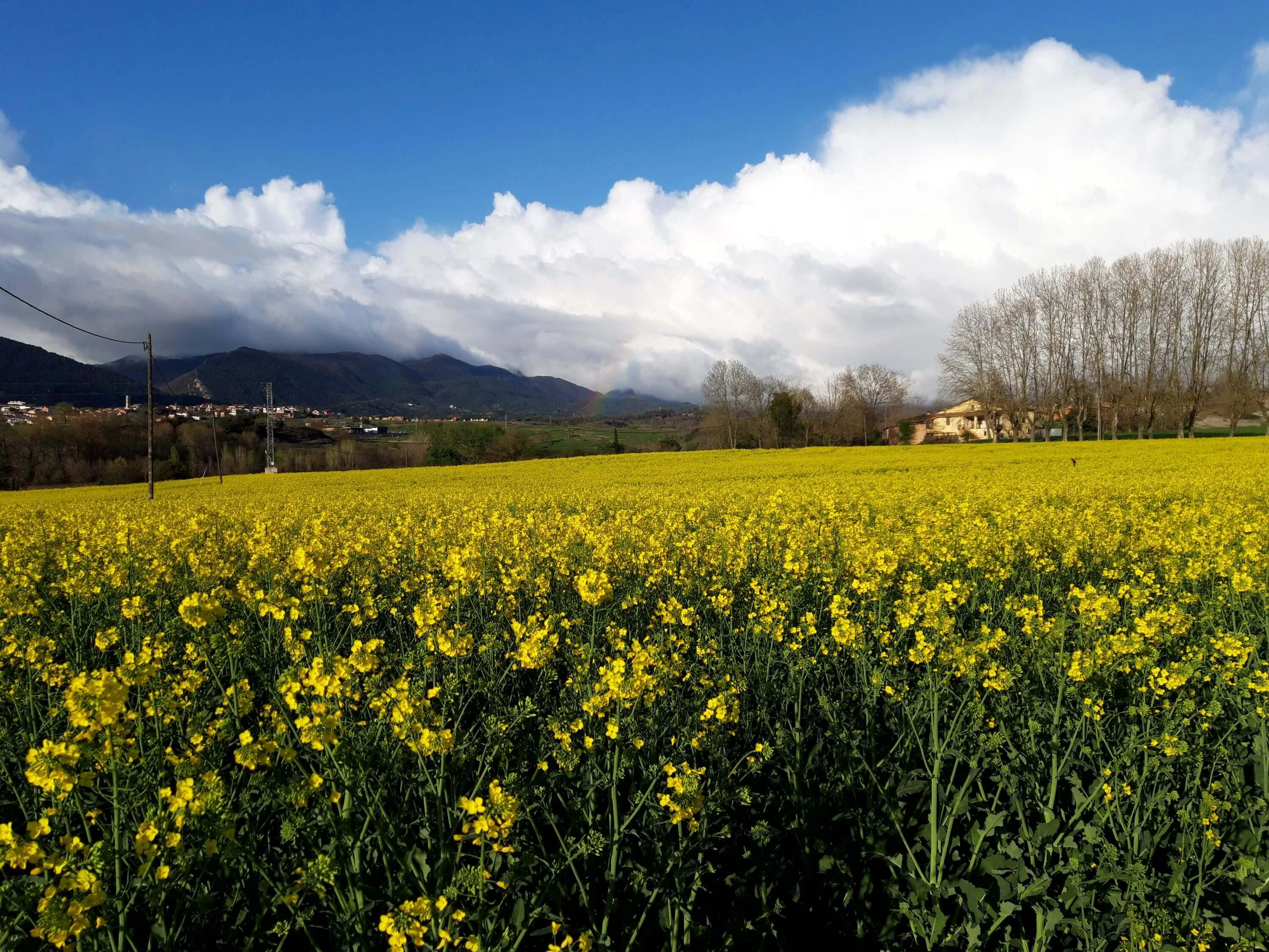Paisatge de la nostra ubicació