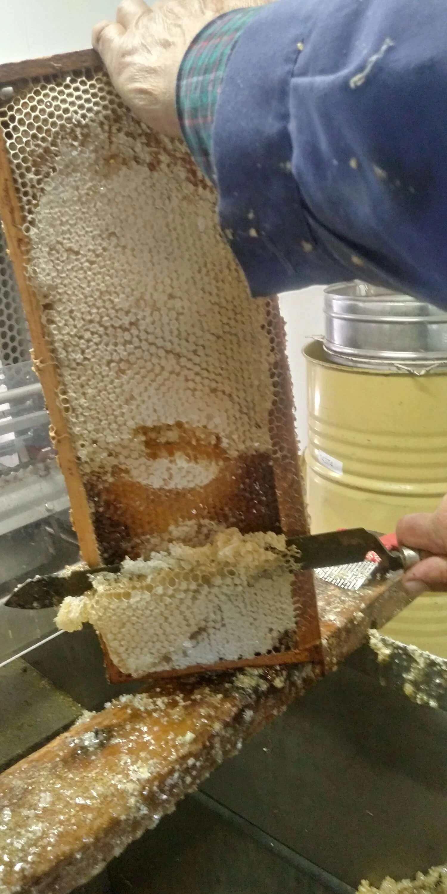 Quadre d'extracció de mel